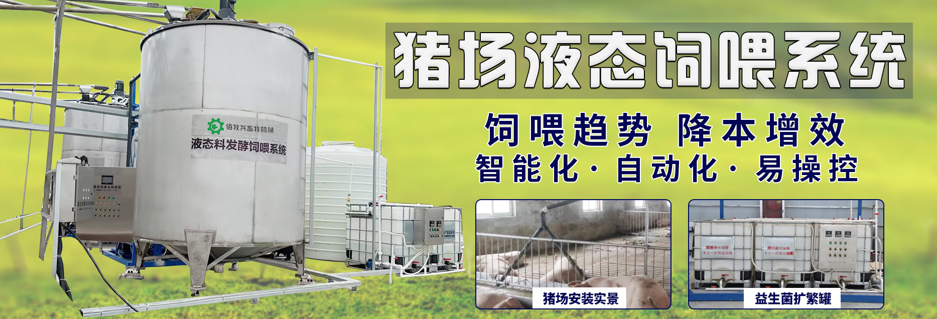 液态饲喂