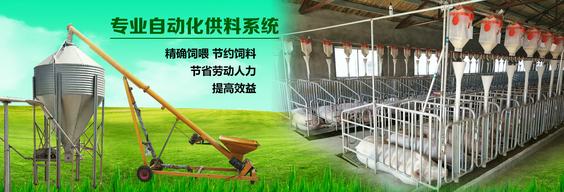 山东佰牧兴猪场自动供料系统