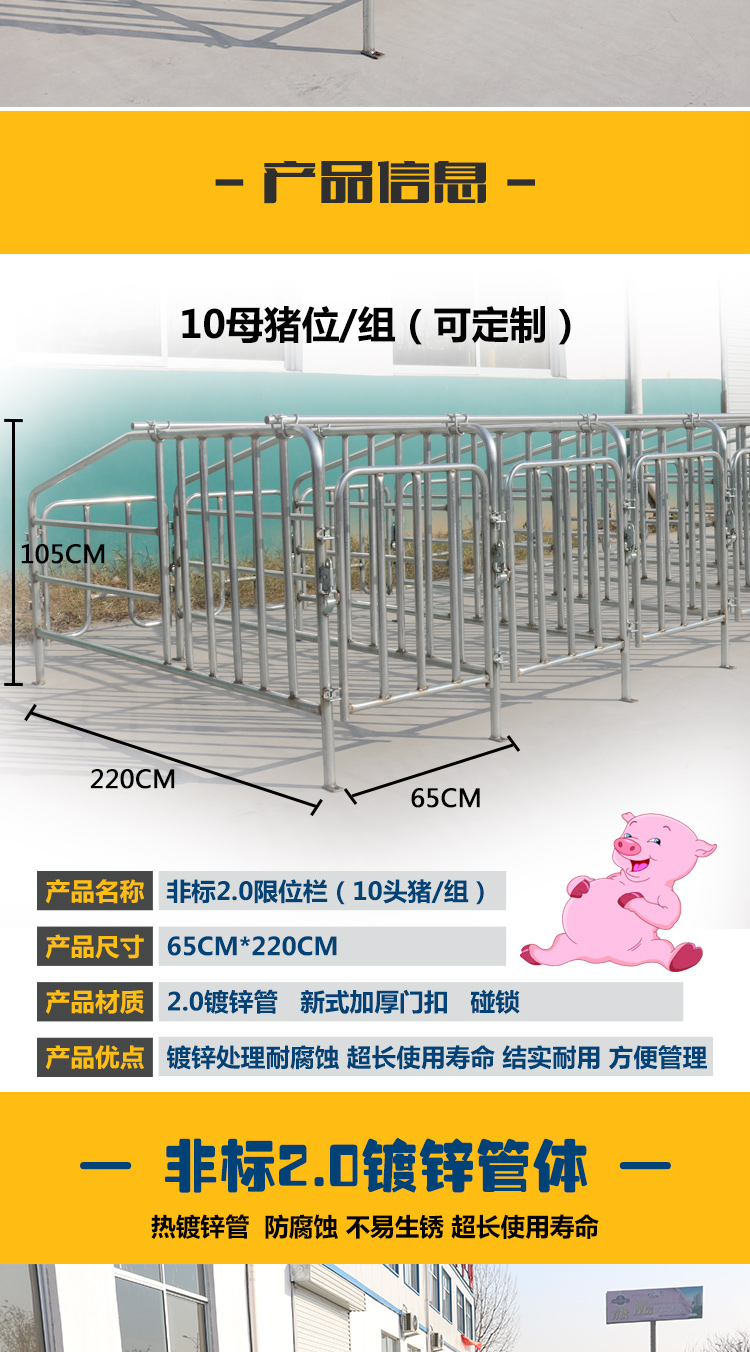 佰牧兴非标2.0母猪限位栏