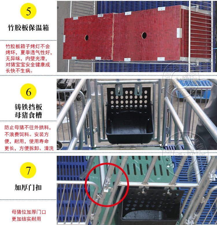 山东佰牧兴国标2.5复合双体母猪产床 