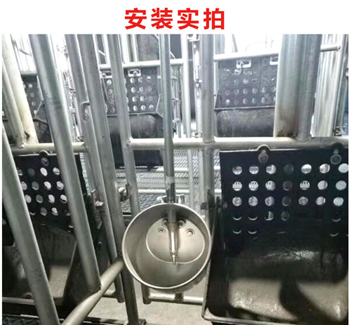 不锈钢环保水碗