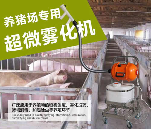 非洲猪瘟