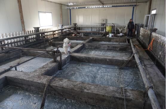 猪粪干湿分离机