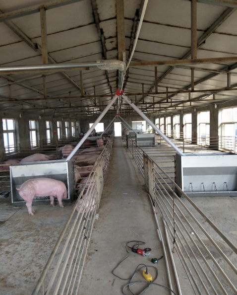 猪场自动化料线