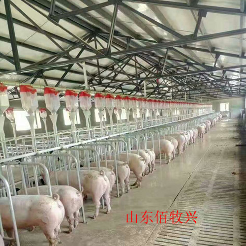 猪场自动喂料系统