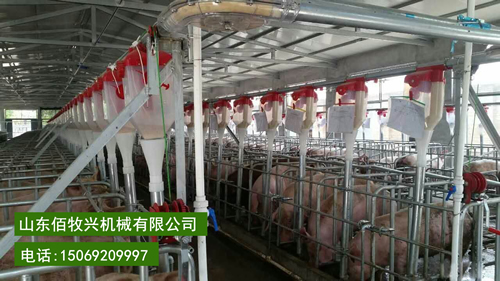 自动化养猪料线