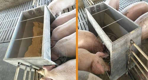 不锈钢猪食槽 不锈钢猪食槽