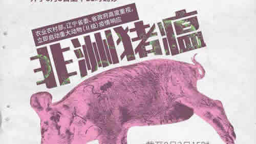 非洲猪瘟到底是如何来到中国的呢?
