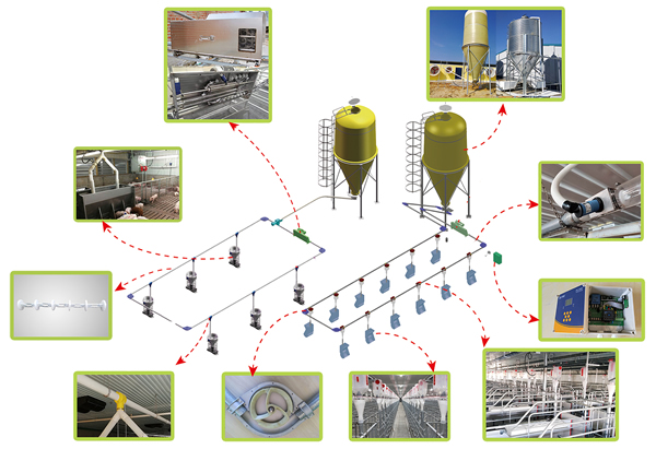 猪场自动化料线