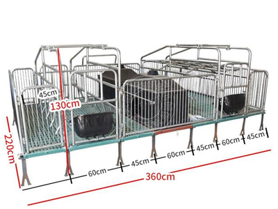 产保两用母猪产床实拍图