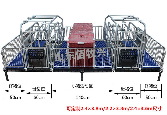 国标2.5热镀锌母猪产床实拍图