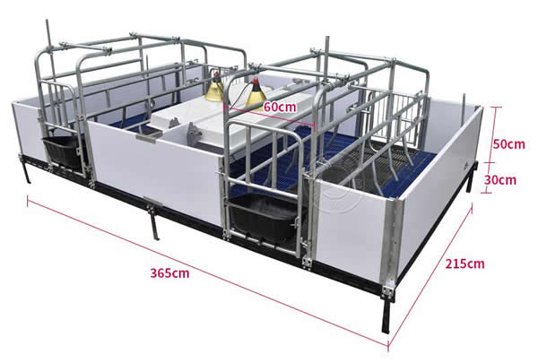 母猪产床需要注意尺寸